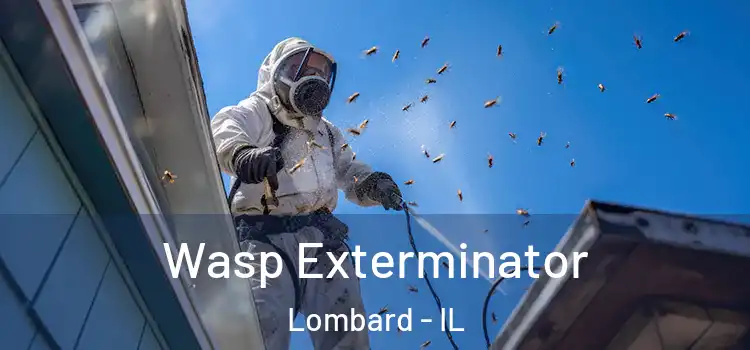 Wasp Exterminator Lombard - IL