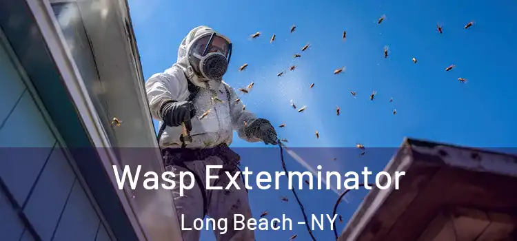 Wasp Exterminator Long Beach - NY