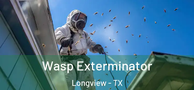 Wasp Exterminator Longview - TX