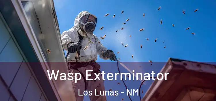  Wasp Exterminator Los Lunas - NM