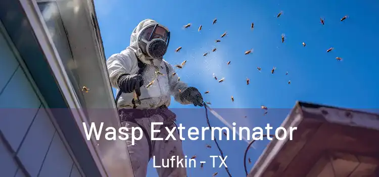 Wasp Exterminator Lufkin - TX