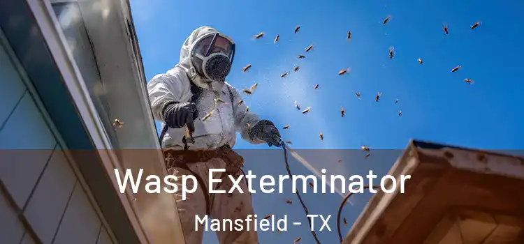 Wasp Exterminator Mansfield - TX