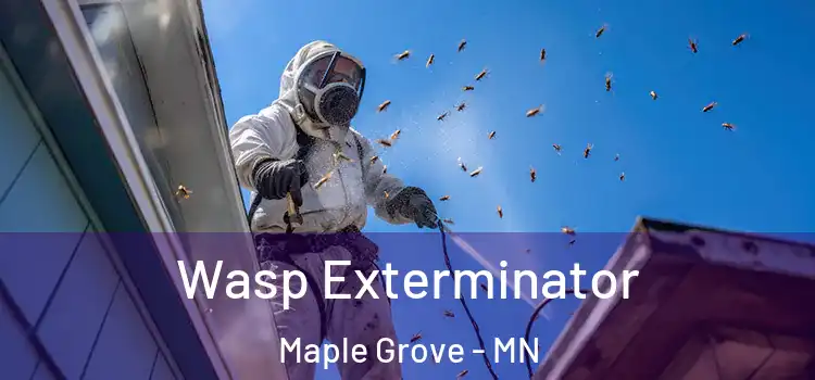  Wasp Exterminator Maple Grove - MN