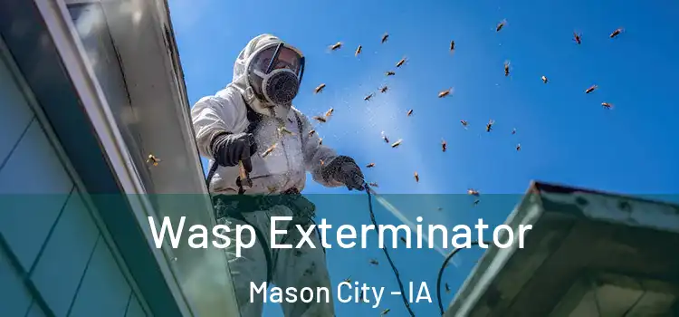  Wasp Exterminator Mason City - IA