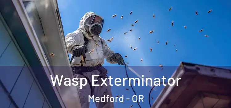  Wasp Exterminator Medford - OR