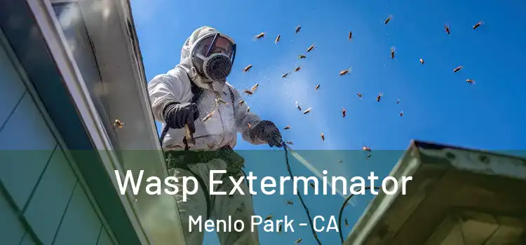  Wasp Exterminator Menlo Park - CA