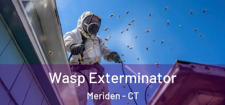  Wasp Exterminator Meriden - CT