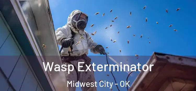 Wasp Exterminator Midwest City - OK