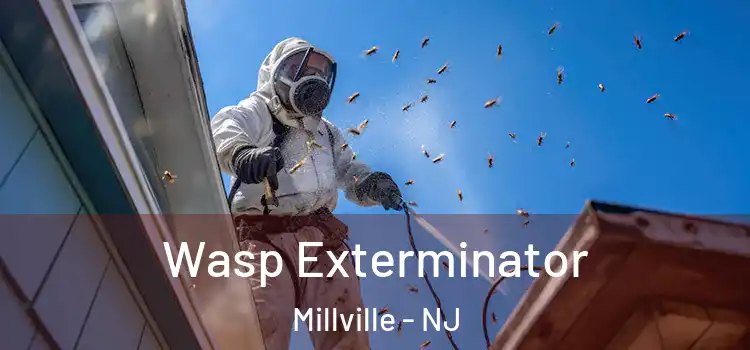  Wasp Exterminator Millville - NJ