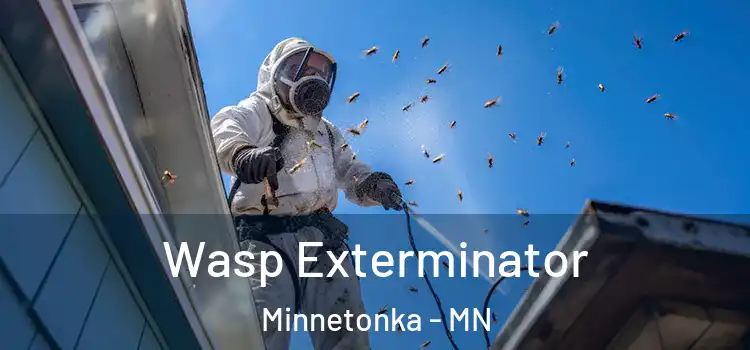  Wasp Exterminator Minnetonka - MN