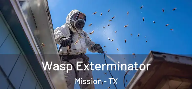 Wasp Exterminator Mission - TX