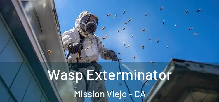 Wasp Exterminator Mission Viejo - CA