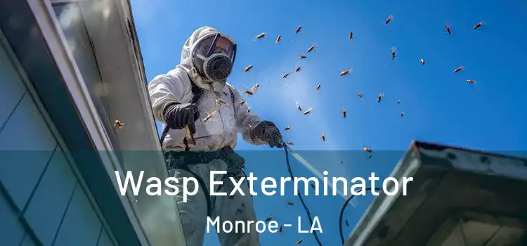 Wasp Exterminator Monroe - LA