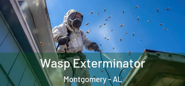  Wasp Exterminator Montgomery - AL