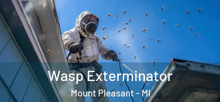  Wasp Exterminator Mount Pleasant - MI
