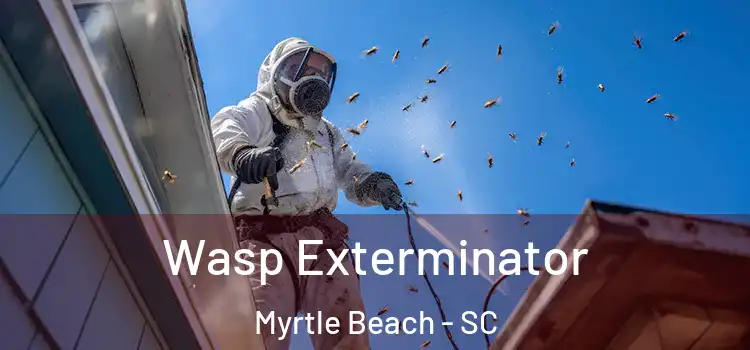  Wasp Exterminator Myrtle Beach - SC