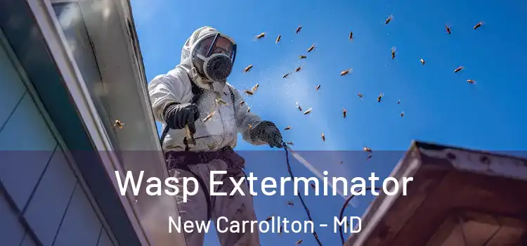  Wasp Exterminator New Carrollton - MD