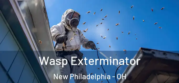  Wasp Exterminator New Philadelphia - OH