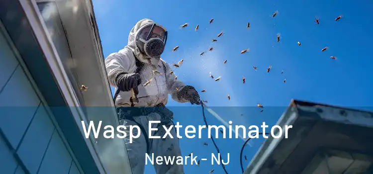 Wasp Exterminator Newark - NJ