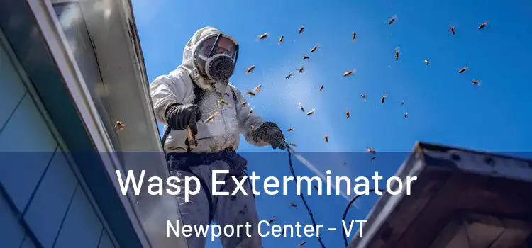  Wasp Exterminator Newport Center - VT