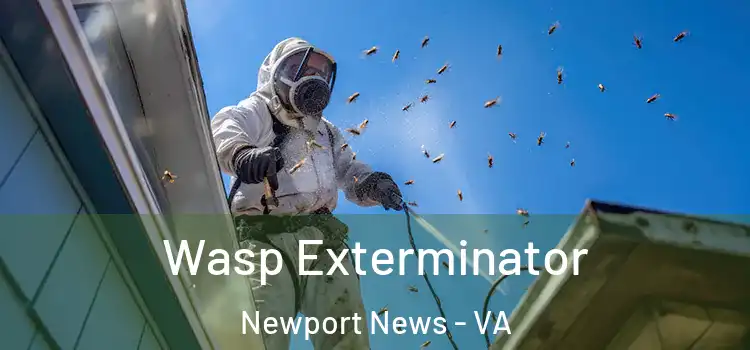  Wasp Exterminator Newport News - VA