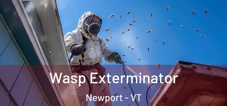  Wasp Exterminator Newport - VT