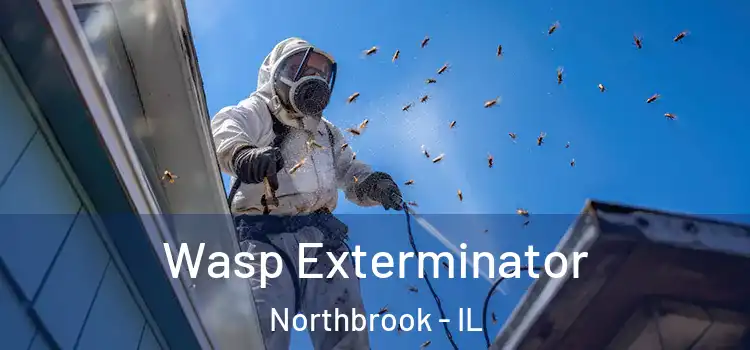 Wasp Exterminator Northbrook - IL