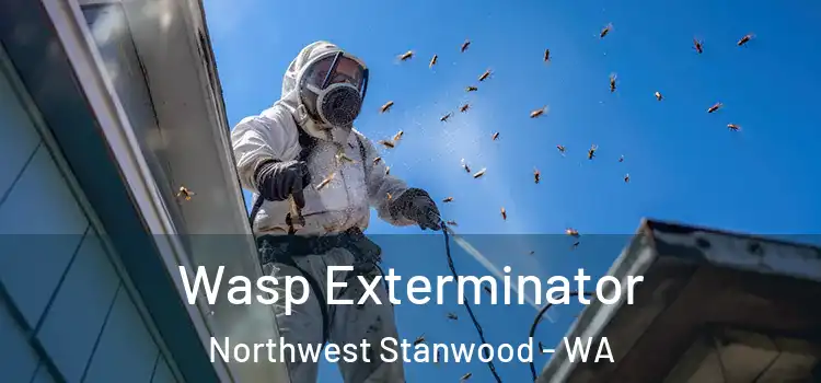  Wasp Exterminator Northwest Stanwood - WA