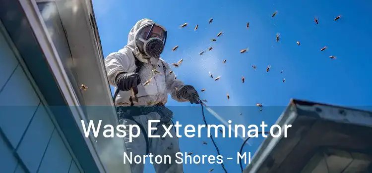  Wasp Exterminator Norton Shores - MI