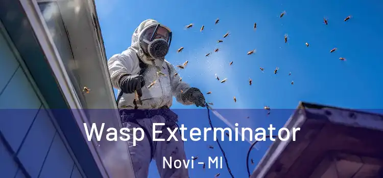  Wasp Exterminator Novi - MI
