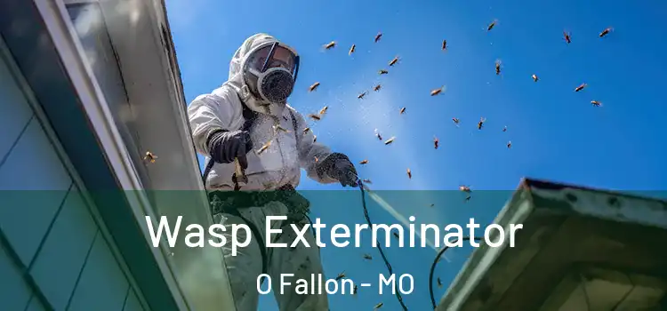  Wasp Exterminator O Fallon - MO