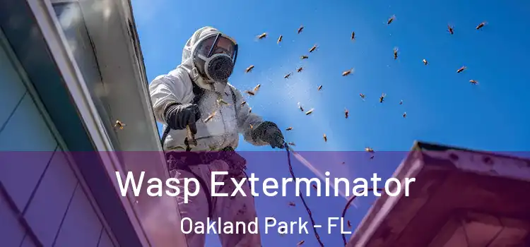  Wasp Exterminator Oakland Park - FL