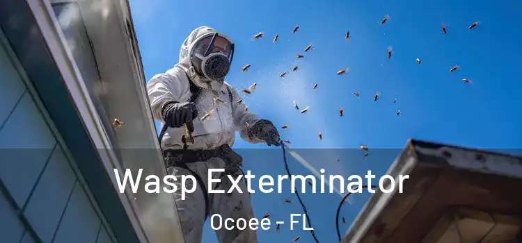  Wasp Exterminator Ocoee - FL