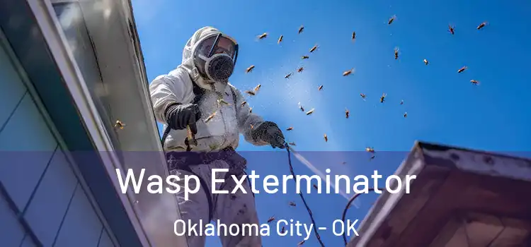  Wasp Exterminator Oklahoma City - OK