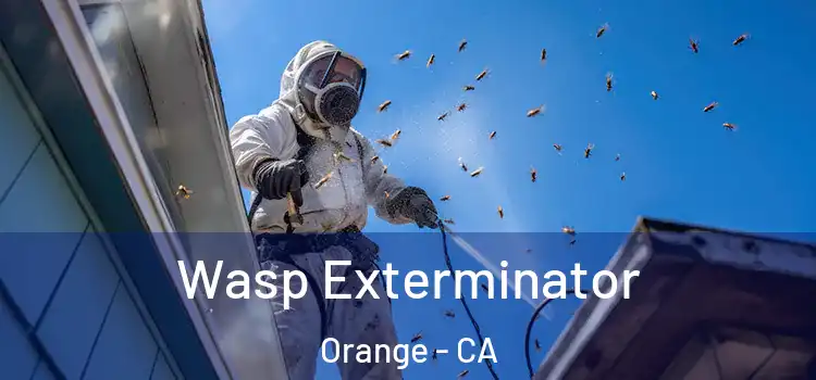 Wasp Exterminator Orange - CA