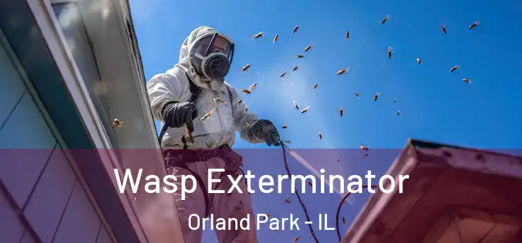 Wasp Exterminator Orland Park - IL
