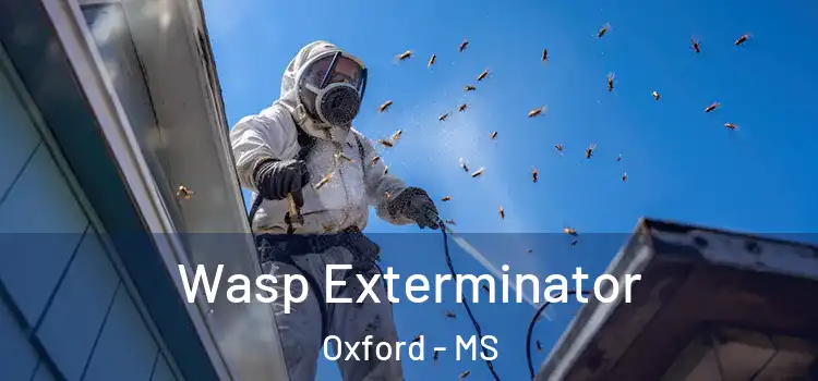  Wasp Exterminator Oxford - MS