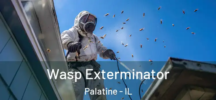  Wasp Exterminator Palatine - IL
