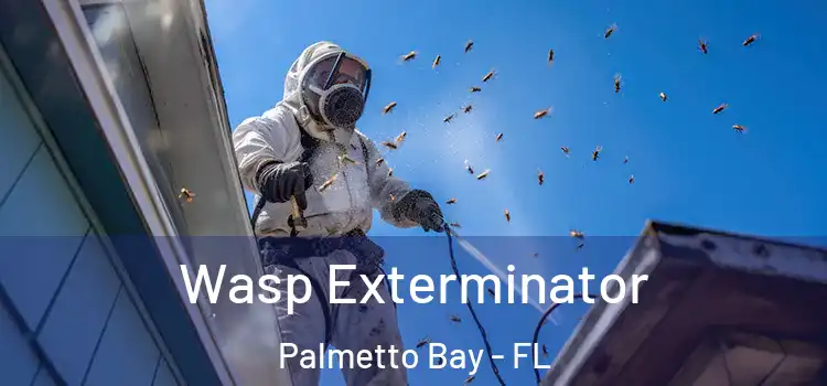  Wasp Exterminator Palmetto Bay - FL