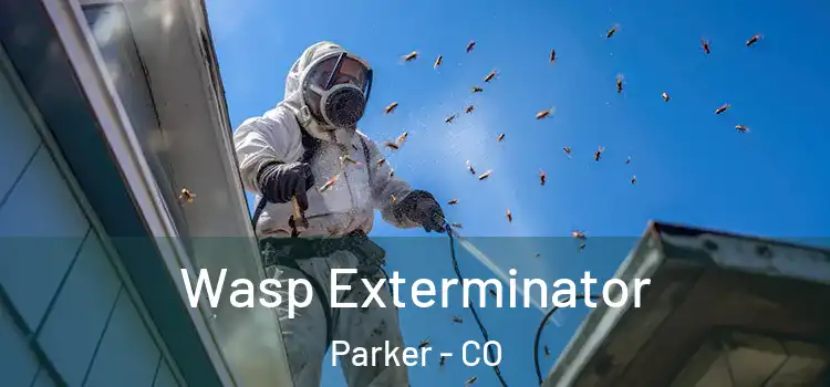  Wasp Exterminator Parker - CO