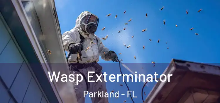  Wasp Exterminator Parkland - FL
