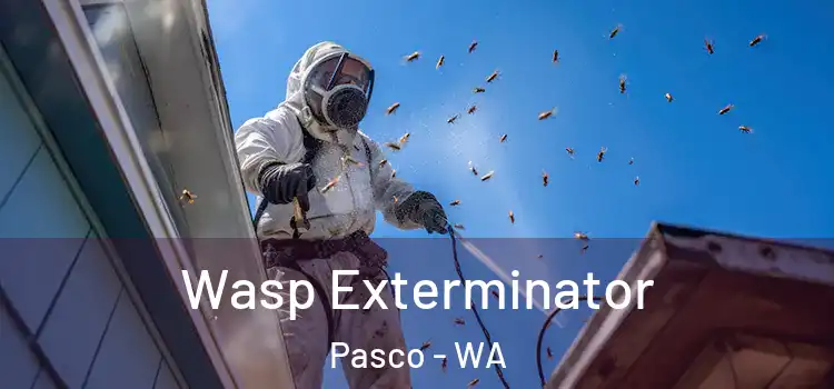  Wasp Exterminator Pasco - WA