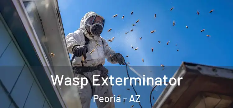  Wasp Exterminator Peoria - AZ