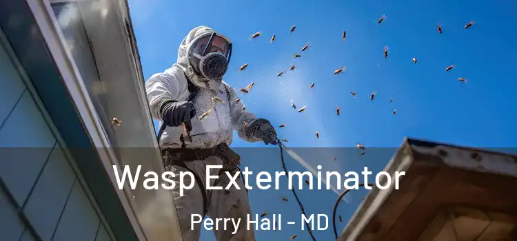  Wasp Exterminator Perry Hall - MD