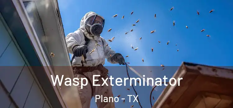 Wasp Exterminator Plano - TX
