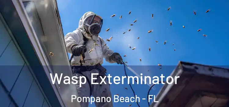 Wasp Exterminator Pompano Beach - FL
