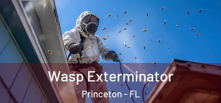  Wasp Exterminator Princeton - FL