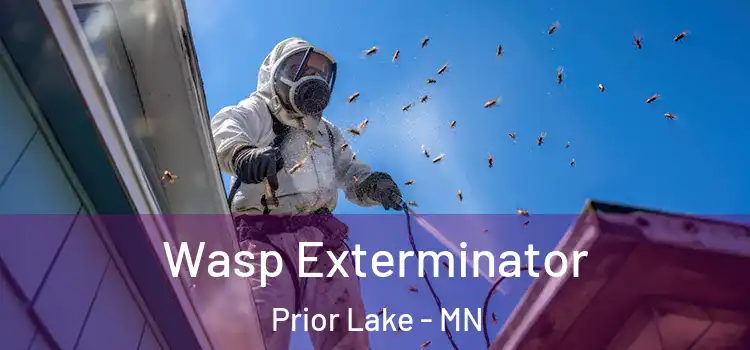  Wasp Exterminator Prior Lake - MN