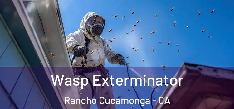  Wasp Exterminator Rancho Cucamonga - CA