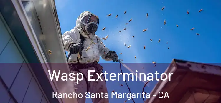  Wasp Exterminator Rancho Santa Margarita - CA